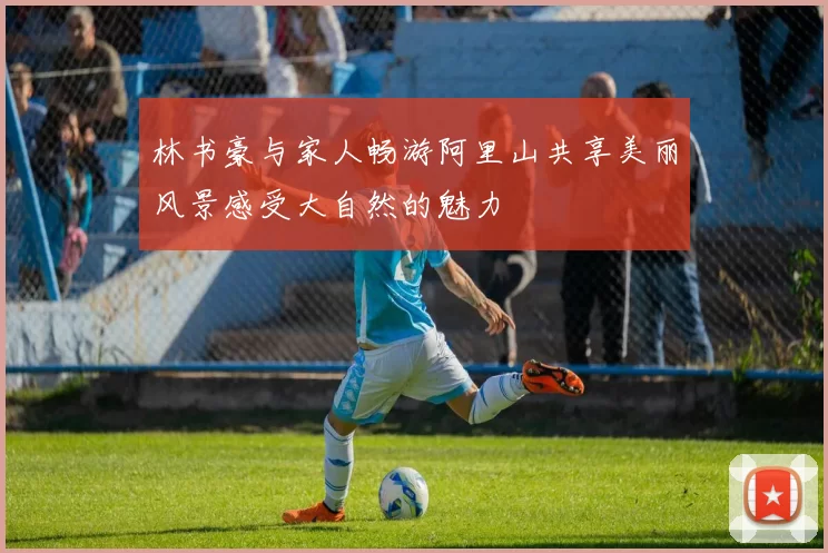林书豪与家人畅游阿里山共享美丽风景感受大自然的魅力